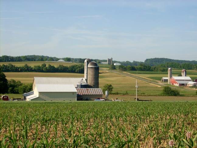 This photo shows dairy farms in Buffalo Township, Pennsylvania