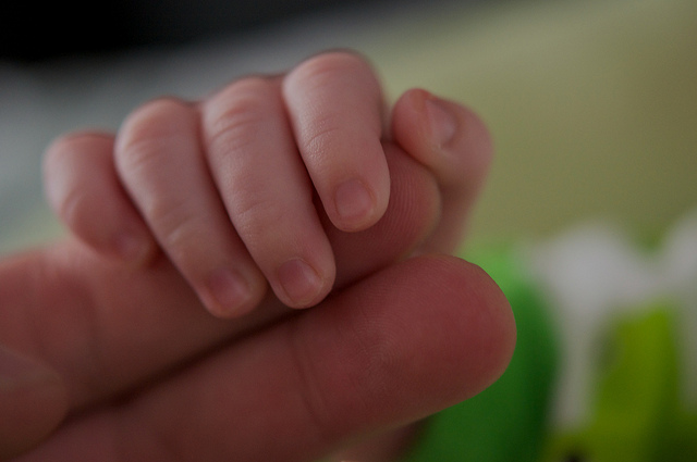 This photo shows a baby hand gripping an adult's index and middle fingers