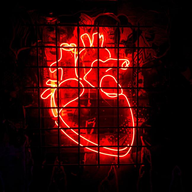 A neon-red anatomical heart wall hanging sits behind a steel grid