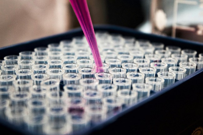 This photo shows vials in a tray below a dropper in a lab conducting DNA tests.